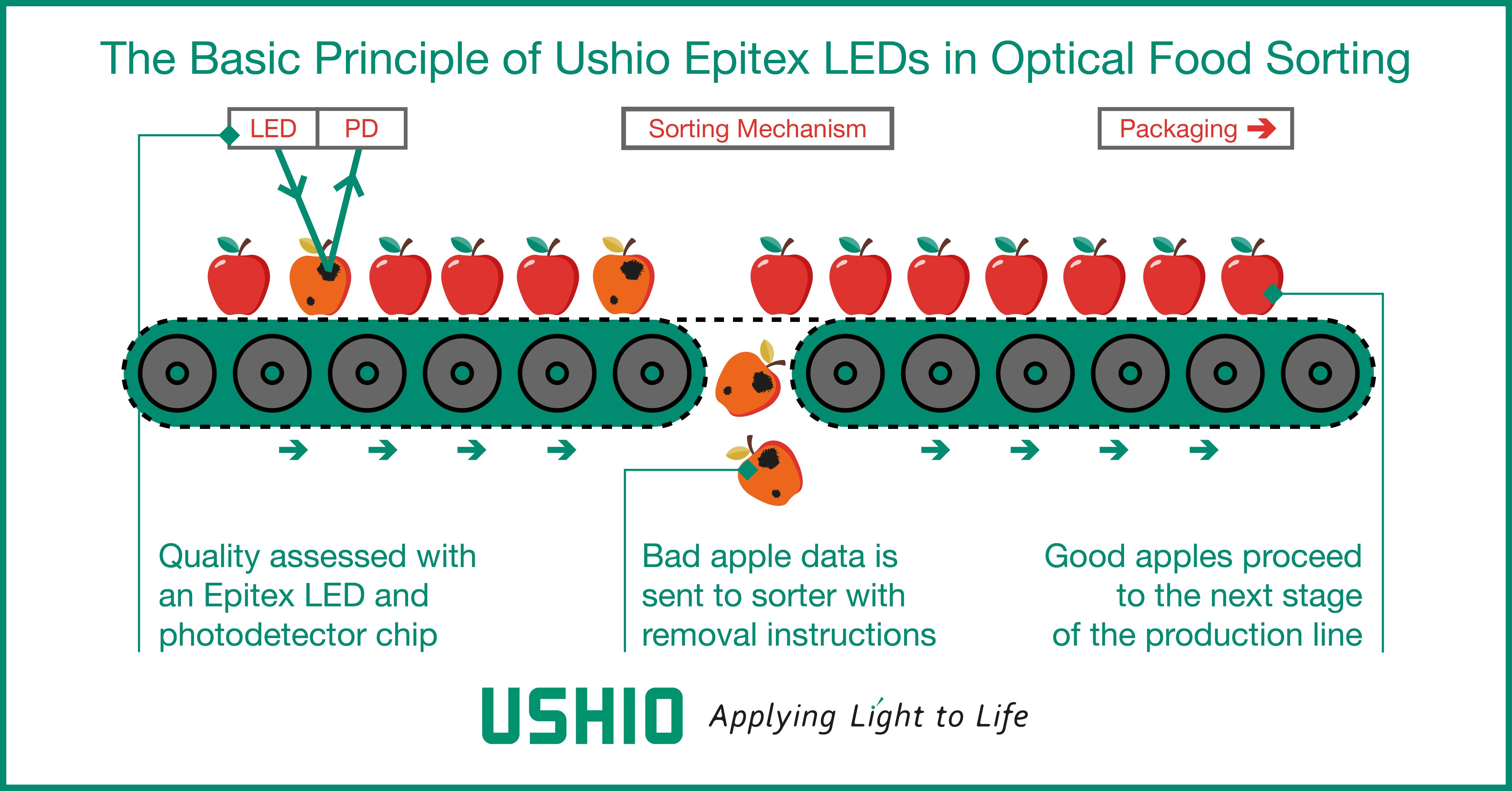 Beauty is in the LED of the beholder: LEDs for optical food sorting applications