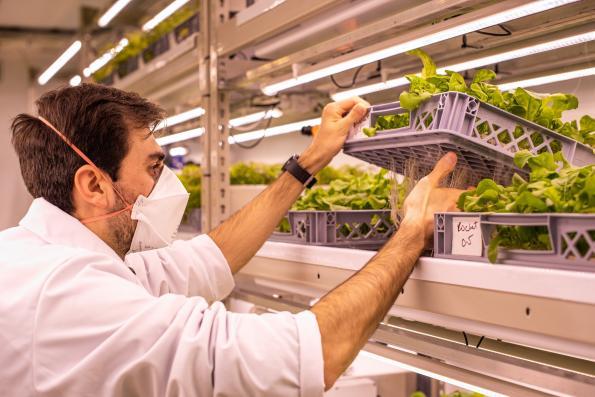 LettUs Grow Teams For Greenhouse Technology Trial