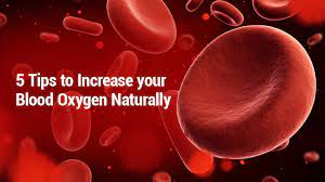 How to Increase Blood Oxygen Level | Pulmonary Education and Research Foundation