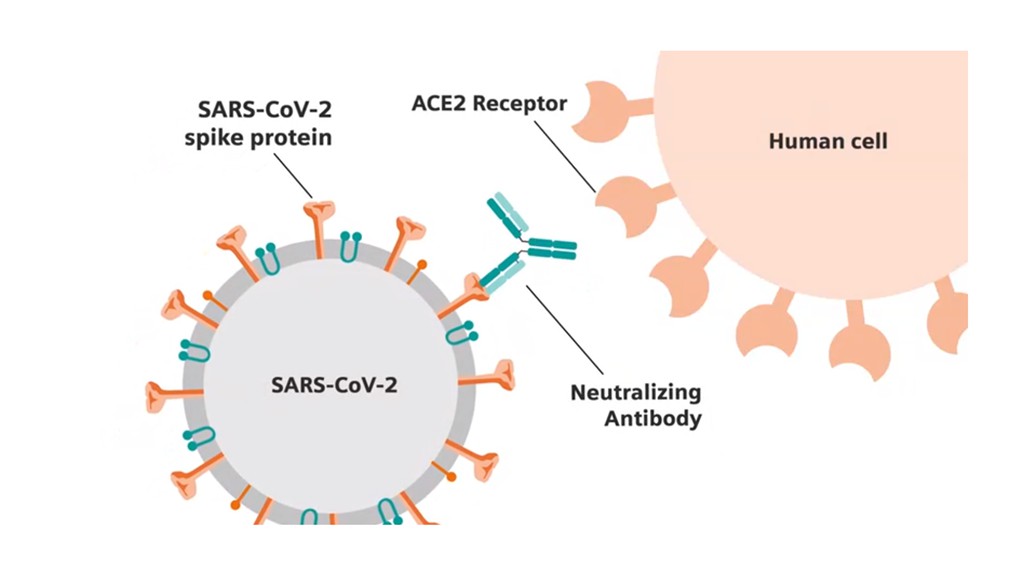 P3 laboratory of CDC verified that UVC chip inactivated SARS-CoV-2 of Covid-19 in seconds